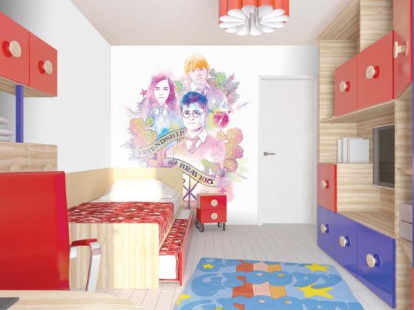 WB2108 | HARRY POTTER MURAL WALLPAPER