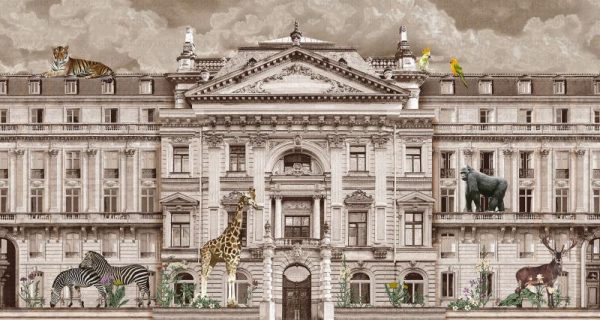 FJ308 Serie | Zoo Pattern Mural Wallpaper - Image 4