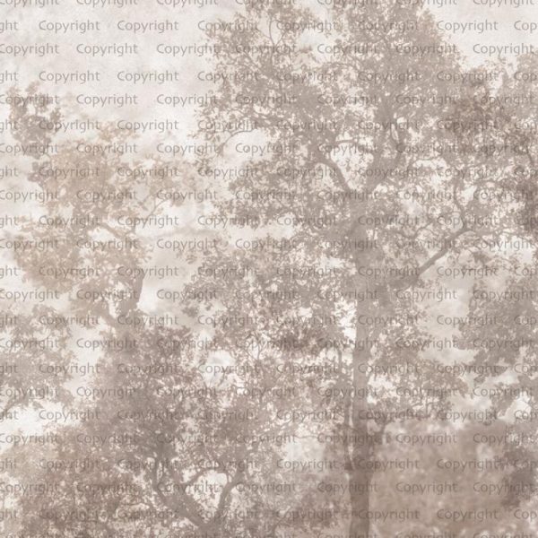 SE312 Series | Tree Design Mural Wallpaper - Image 2