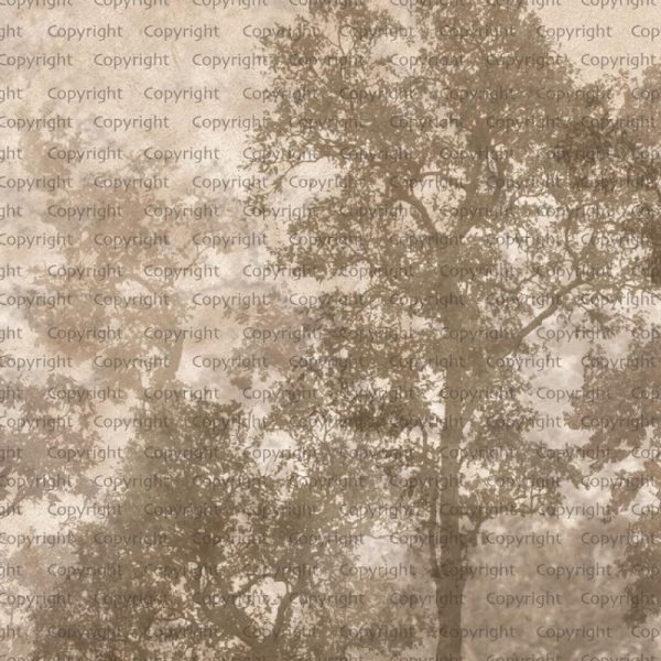 SE312 Series | Tree Design Mural Wallpaper - Image 4