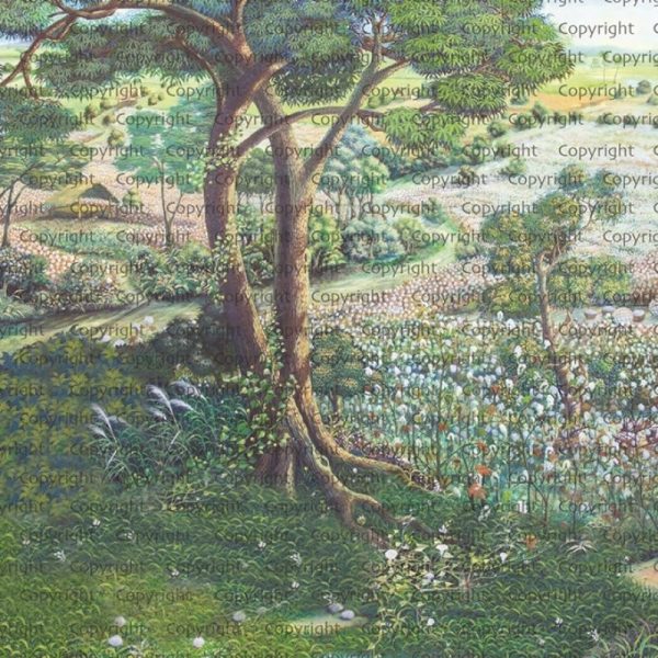 SE319 Series | Nature Design Mural Wallpaper - Image 2